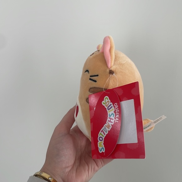 SOLD Squishmallow Nathan the cat 5” - Picture 3 of 4